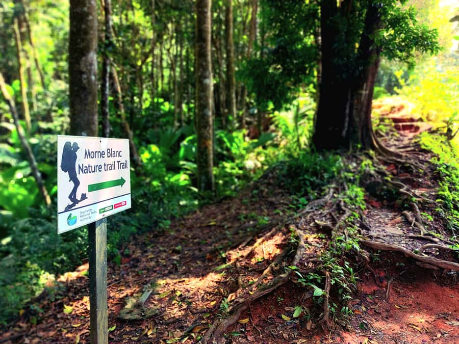 Seychelles: Best of Mahe Private Tour - Timing and logistics that actually matter for your comfort