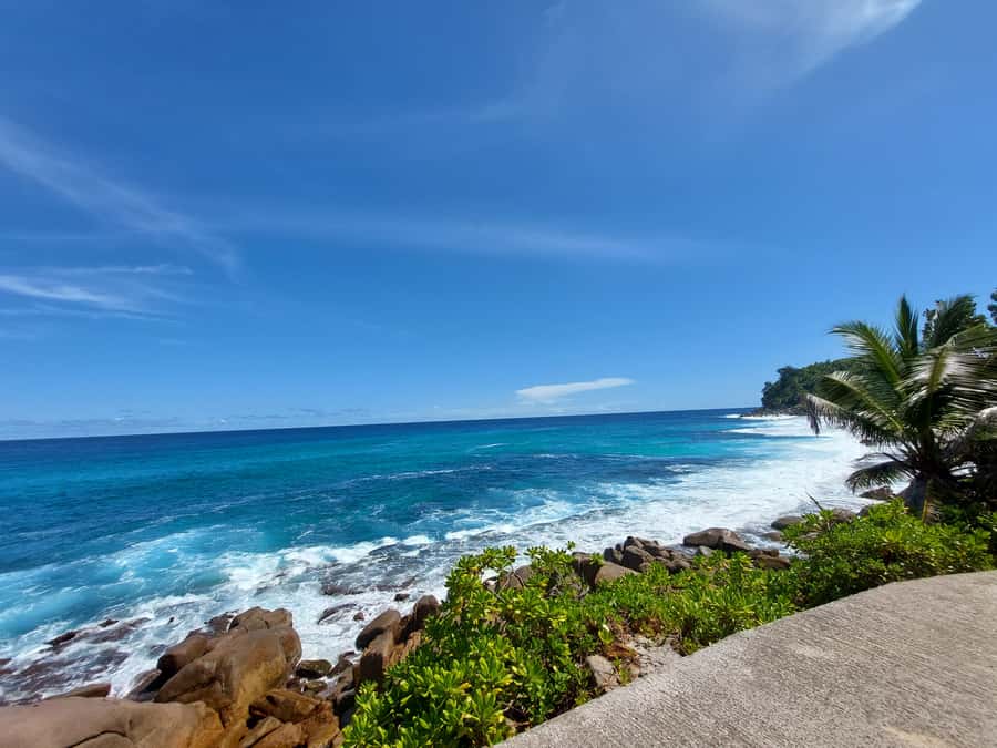 Seychelles: Best of Mahe Private Tour - Price and value: $280 per group up to 6, is it worth it?