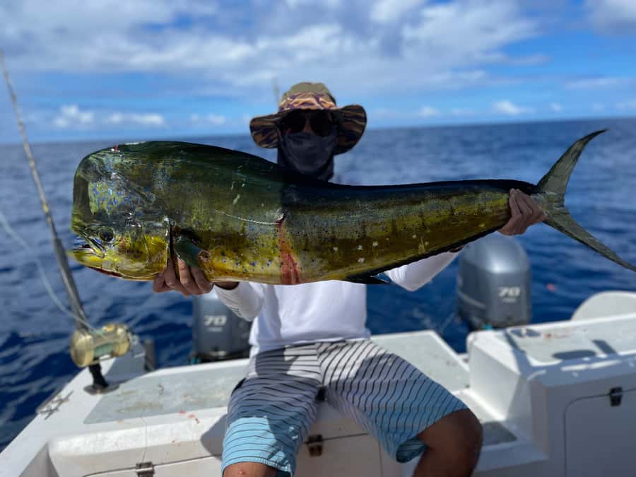 Seychelles: Guided Fishing Trip with Pickup and Equipment - Key highlights worth your attention