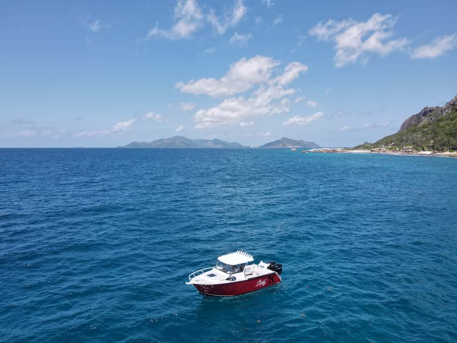 Seychelles: Guided Fishing Trip with Pickup and Equipment - The fish list you actually care about (and why it’s more fun than it sounds)