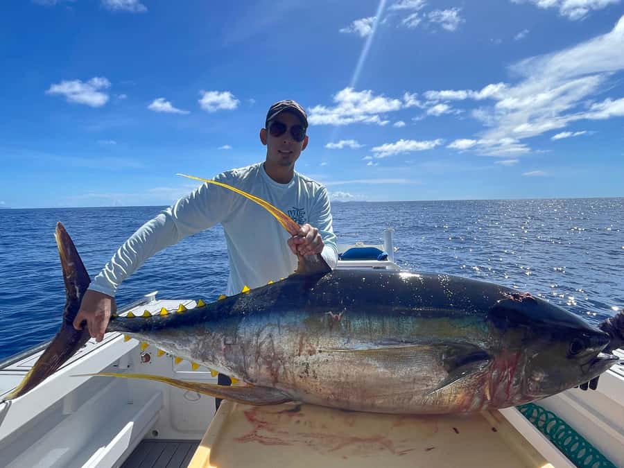 Seychelles: Guided Fishing Trip with Pickup and Equipment - Pickup, timing, and how the day typically flows (4 to 9 hours)