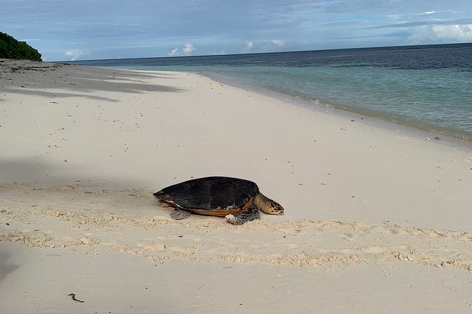 Seychelles Island Tour (PRIVATE 4 hours or 8 Hours) - Mission Lodge Lookout: the quick “Mahé wow” moment
