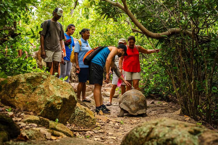 Seychelles: St Pierre and Curieuse Catamaran Tour with Lunch - Anse Georgette: photo stop and a chance to swim again