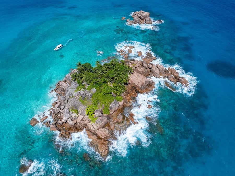 Seychelles: St Pierre and Curieuse Catamaran Tour with Lunch - Price and value: what you’re really paying for