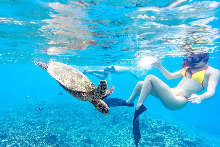 Sister, Coco, and Felicite Island: Seychelles Catamaran Tour - What the timing actually feels like (and why 6 to 8 hours is the sweet spot)