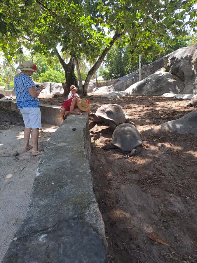 St. Anne Marine Park, Moyenne & Cerf Island Tour with Lunch - Should you book the St. Anne Marine Park, Moyenne & Cerf Island tour?