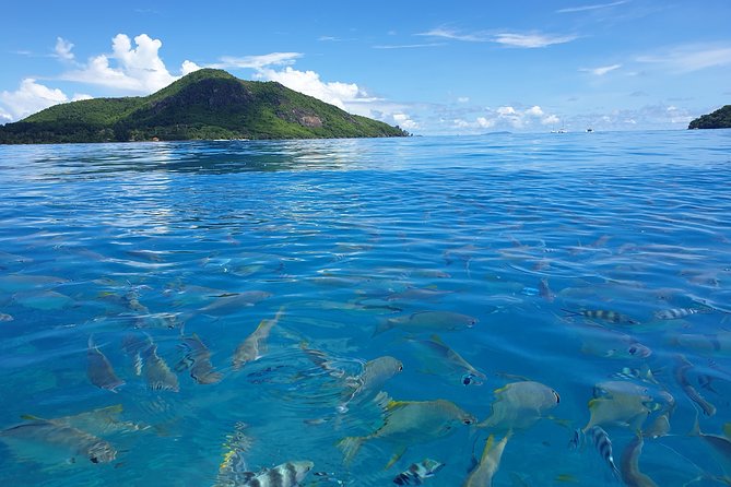 St Anne Marine Park & Moyenne Island, Creole Lunch (Private Boat) - Should You Book This Private Boat Tour?