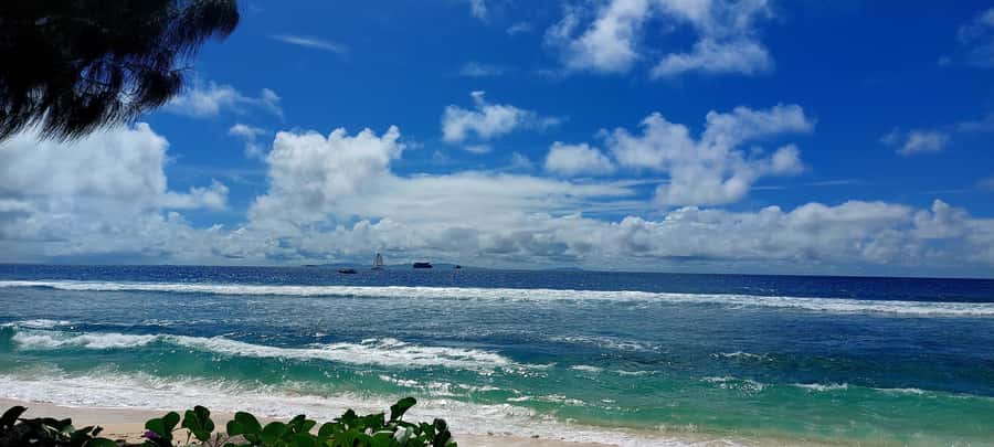 Tour Mahe Seychelles your way. Victoria national park beache - Meeting Victoria: Smallest Capital Energy, Market, Temples, and Cathedral