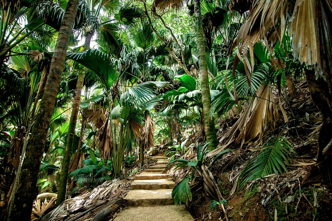 Vallee de Mai Tour (From Praslin) - Key things to know before you go