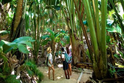 Vallee de Mai Tour (From Praslin)