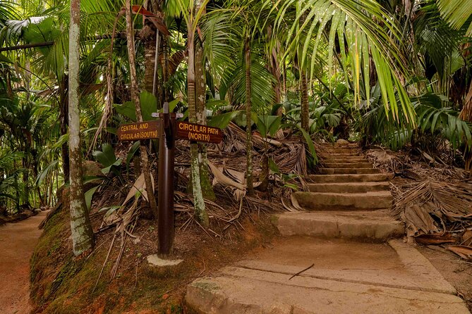Vallee de Mai Tour (From Praslin) - What the guide does for you (and why it’s worth paying attention)
