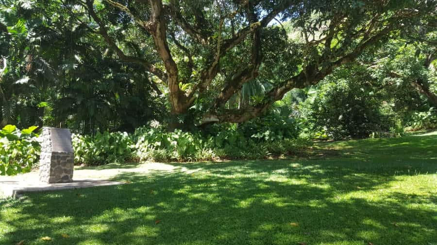 Victoria: Guided City Tour and Botanical Gardens Entry - Codevar building and Kreol Or: the crafts stop you can actually use