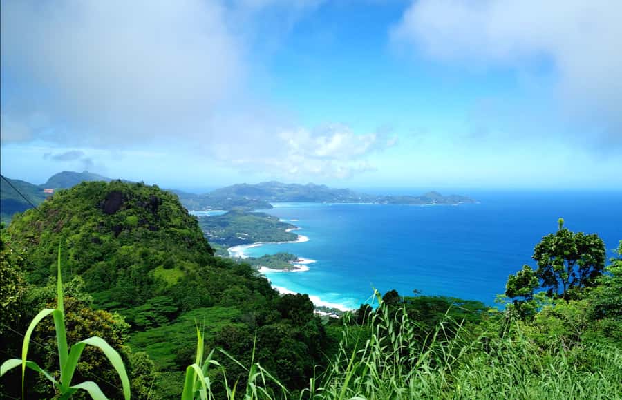 Victoria: Seychelles Mahe Island Tour - Key things that make this Mahe tour work
