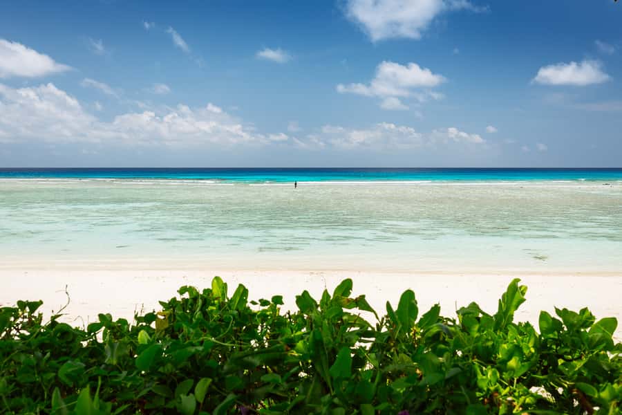 Victoria: Seychelles Mahe Island Tour - Beach breaks and palm-forest pauses, plus the realistic timing