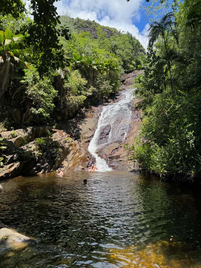 Victoria: Seychelles Mahe Island Tour - Who should book this Mahe Island tour