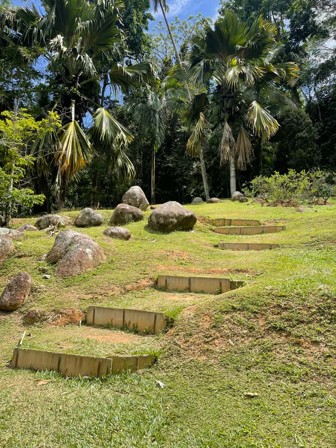Victoria: Seychelles Mahe Island Tour - Pickup and the private-group setup that keeps the day calm